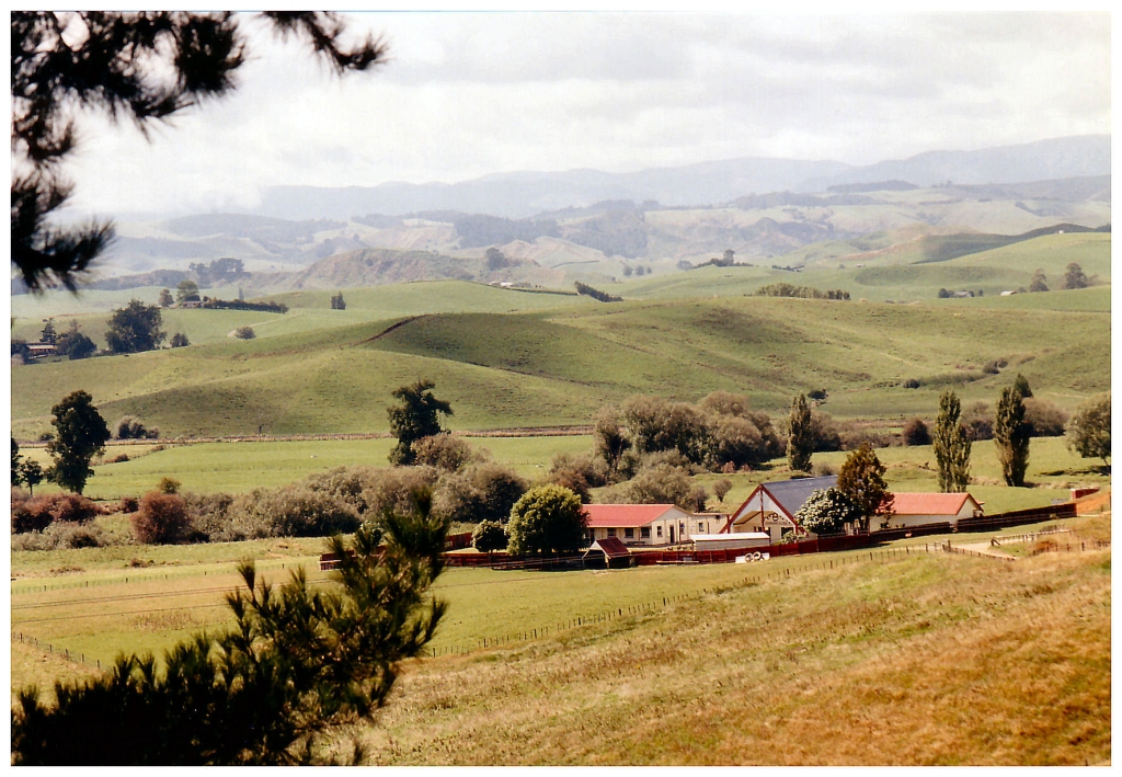 06 - New-Zealand (2).jpg